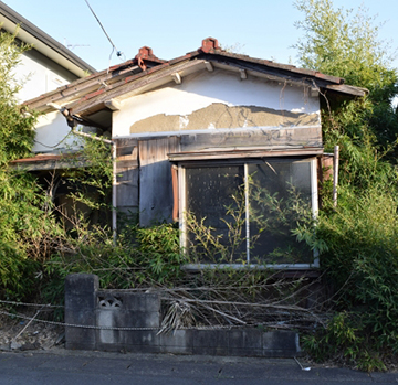 様々な条件の土地に強い！