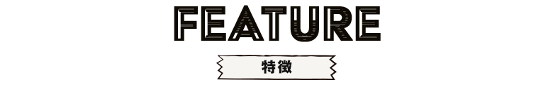 特徴