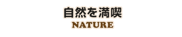 十分な盛土工事など万全の対策